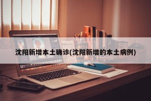沈阳新增本土确诊(沈阳新增的本土病例)