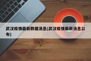 武汉疫情最新数据消息(武汉疫情最新消息公布)